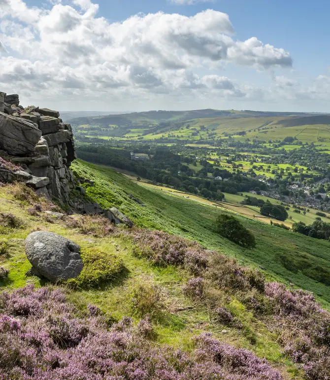 Buxton
