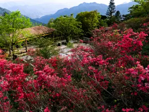 Daxiong Mountain National Forest Park