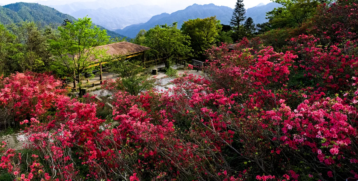 5_大熊山國家森林公園