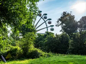 Popular Spring Outings in Luzhou