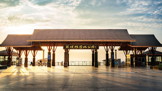 ป่าวงกลมของจางบากุ้ย