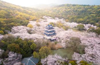 無錫4大特色體驗