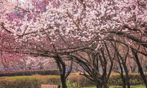 Beishan (North Hill) Garden