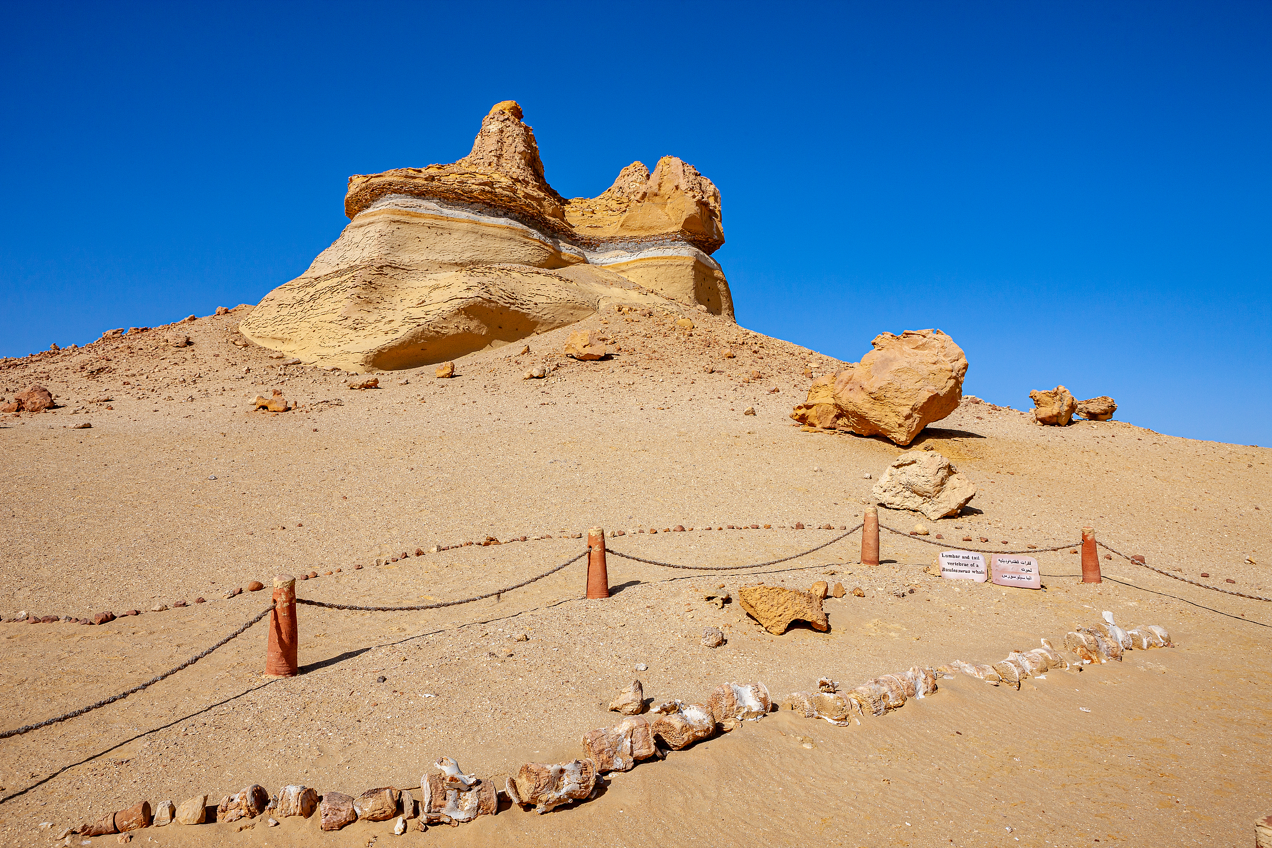 Wadi Hitan National Park