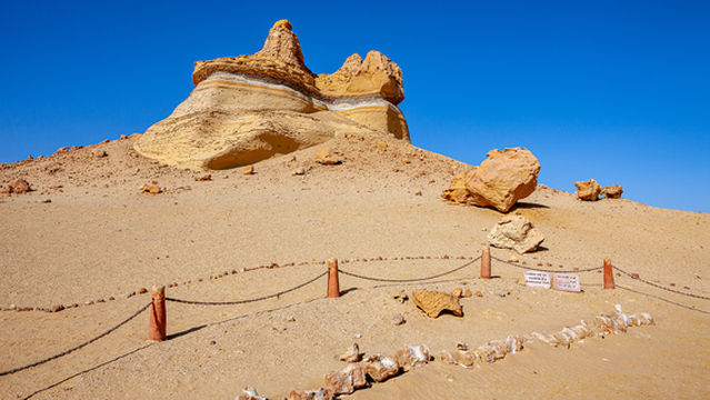 Wadi Hitan National Park