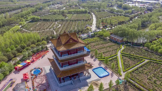 Chinese Peony Garden