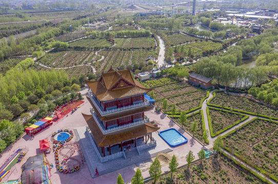 Chinese Peony Garden