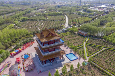 Chinese Peony Garden