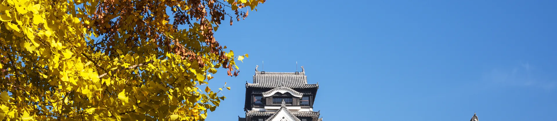가을 경치