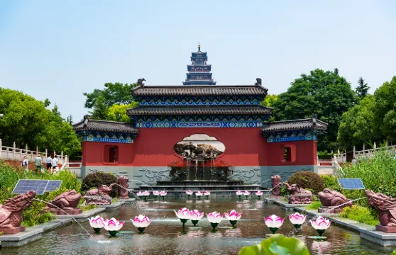 微山島景區門票+遊船票+島內觀光車票大小同價