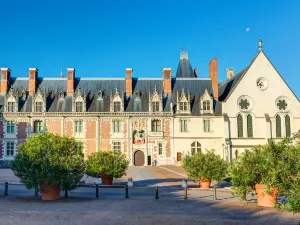 Castello di Blois