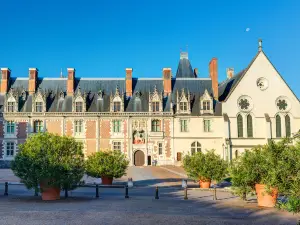 Castello di Blois
