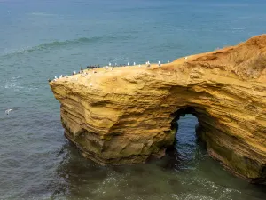Sunset Cliffs Natural Park