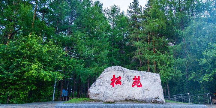 Songyuan Forest Park