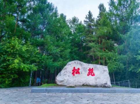 Songyuan Forest Park