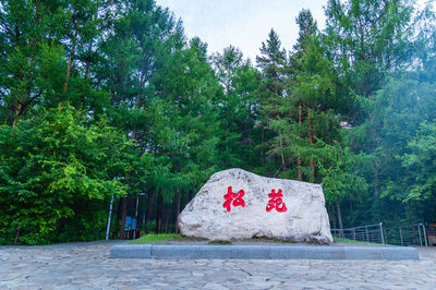 Songyuan Forest Park
