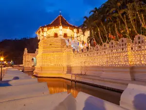 Popular Night Attractions in Kandy