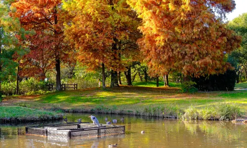 Expo ’70 Commemorative Park
