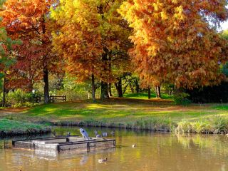 吹田の大阪大学 工学部工学研究科教務係周辺のホテル
