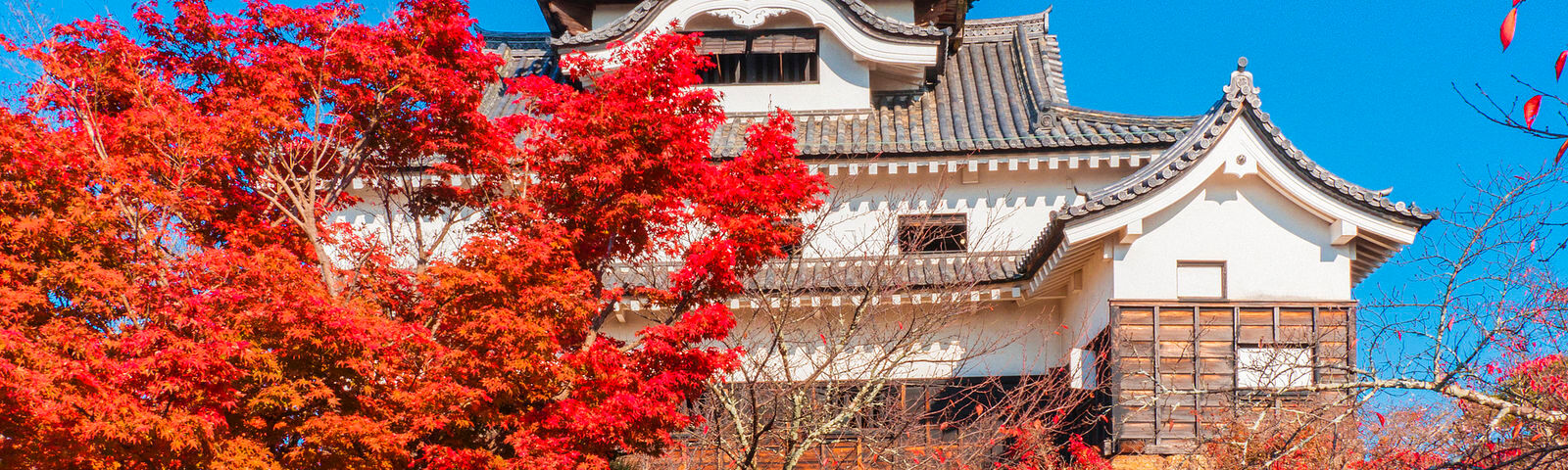 InuyamaTravel services