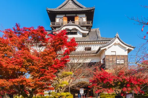 Castello di Inuyama