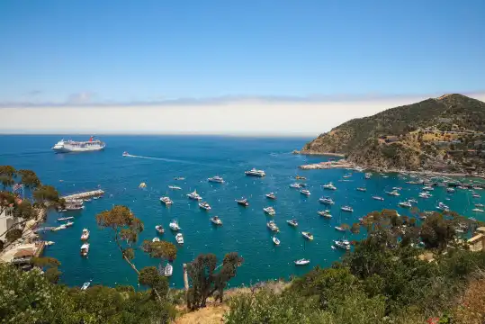 Các khách sạn gần Đảo Santa Catalina