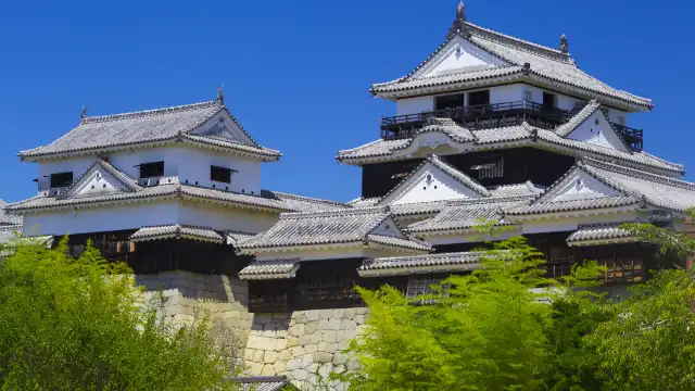 松山城城堡附近的飯店