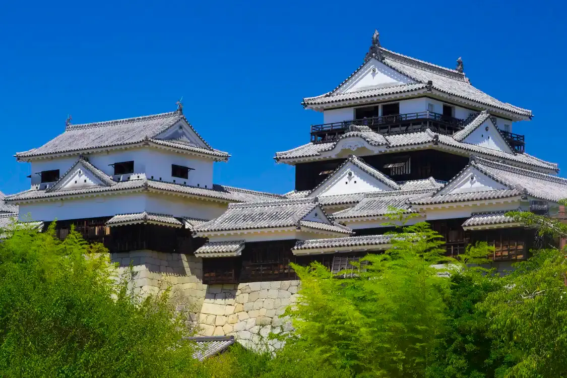 Hotels near Matsuyama Castle