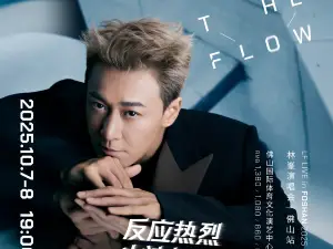 Foshan | Raymond Lam Concert