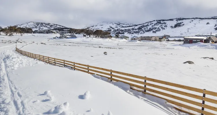 Choosing the Best Ski Resort in Australia for Your Trip