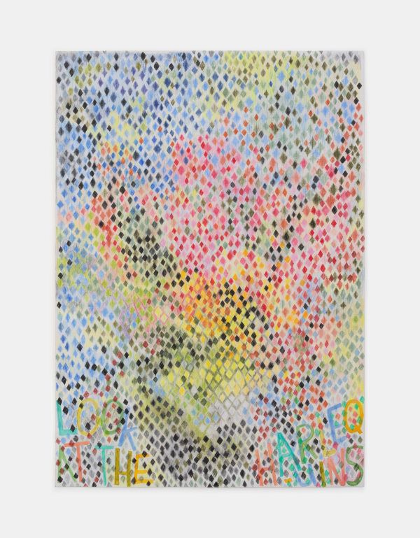 Isabel Nolan: Look at the Harlequins! | Kerlin Gallery