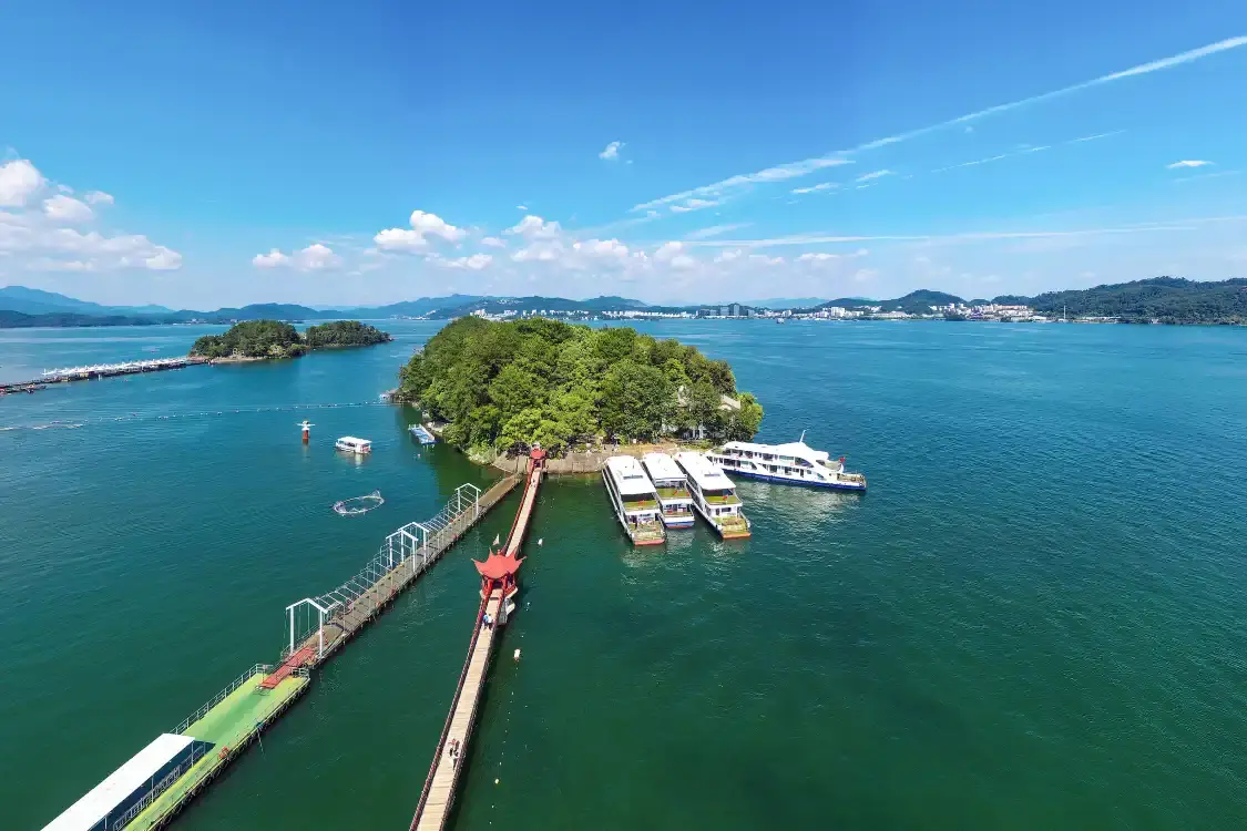 월광도(오룡도) 주변 호텔