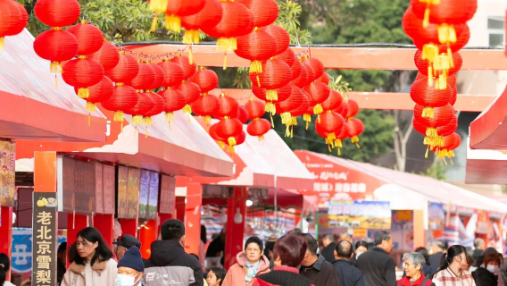 2026 Dongguan Spring Festival Goods Market