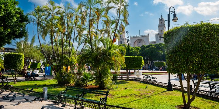 Plaza Grande