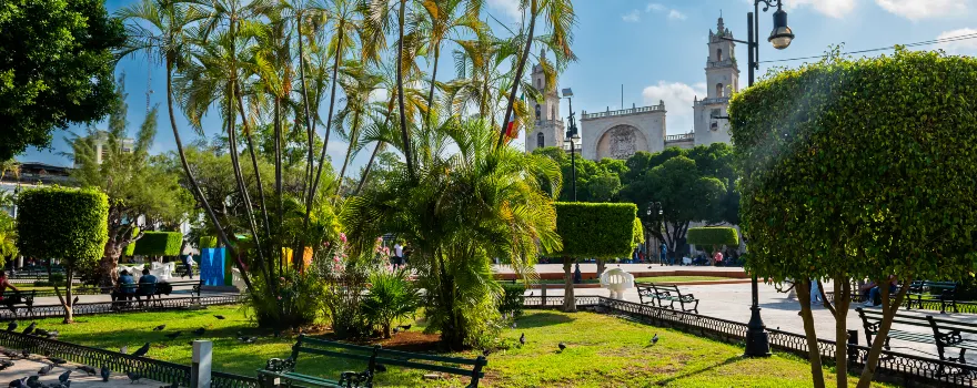 Plaza Grande
