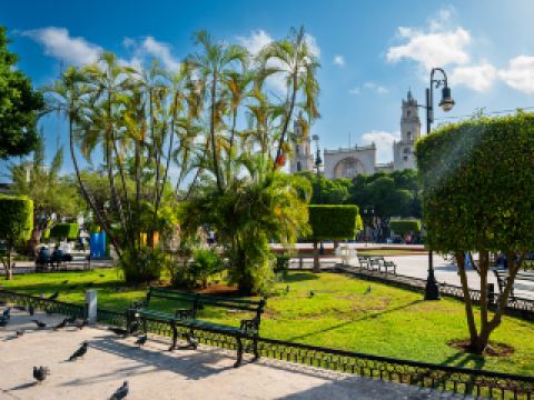 Hoteles cerca de Estadio Carlos Iturralde