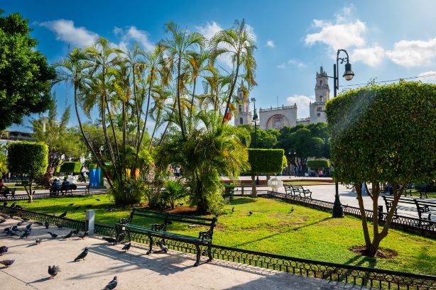 Plaza Grande