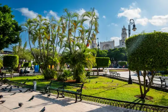 Hilton Garden Inn Properties in Merida