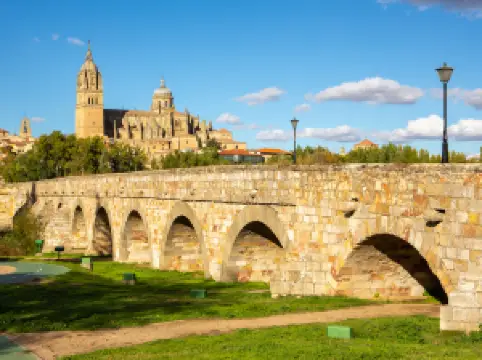 pont romain salamanque