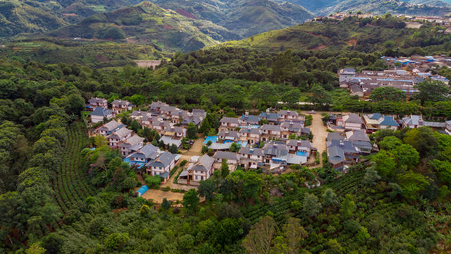 Jingmai Mountain Ancient Tea Forest - Scenic Overlook Station