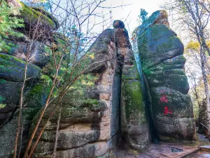 Tangwanghe Sea of Forest and Rare Stone Scenic Area - Yixiantian