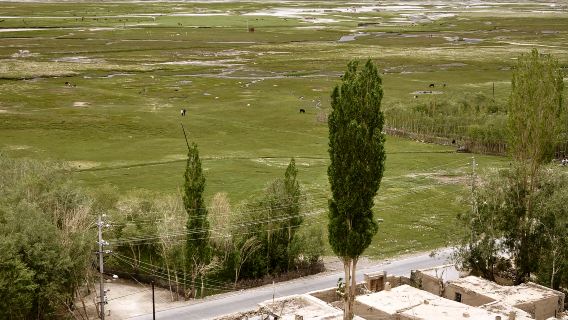 Tajik Traditional House