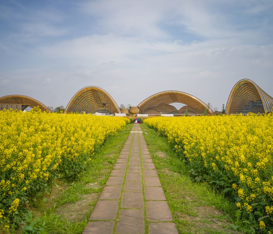 Shaqu Wetland Park