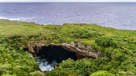The Grotto