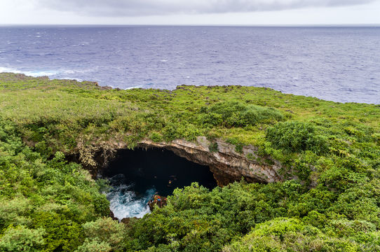 The Grotto