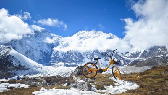 zhu feng dong po da ben ying