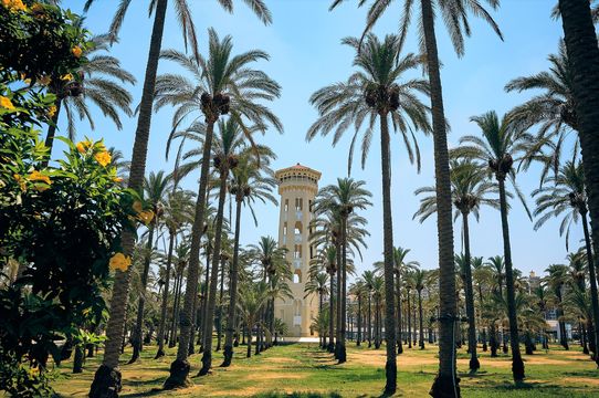 El Montaza Gardens