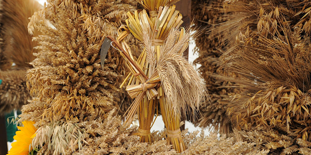 Havelland Harvest Festival | Schonwalde-Glien