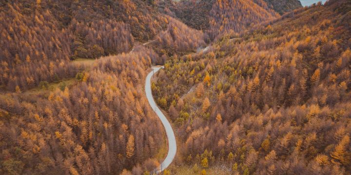 Zengjia Mountain Scenic Area