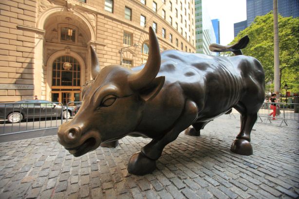 Charging Bull